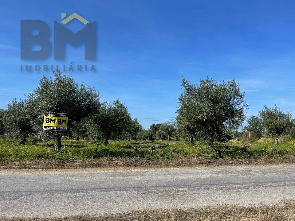 Terreno Agricola ou Rústico para Venda em Ladoeiro Foto 15