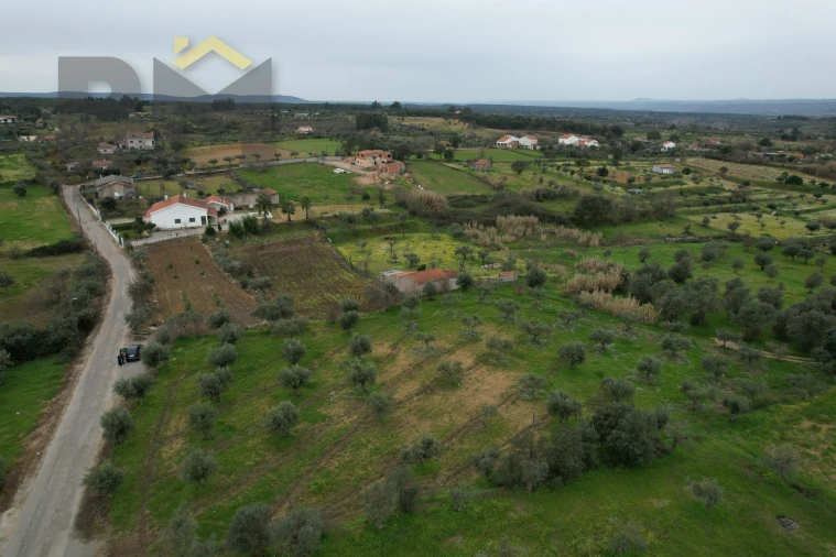 Terreno Agricola ou Rústico para Venda em Ladoeiro Foto 5