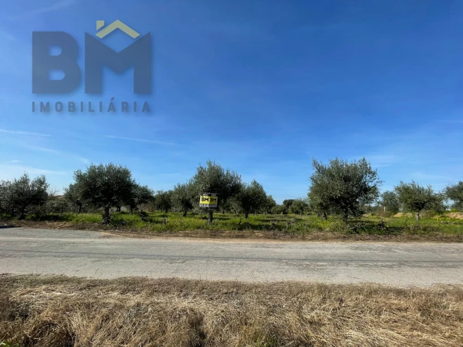 Terreno Agricola ou Rústico para Venda em Ladoeiro Foto 14