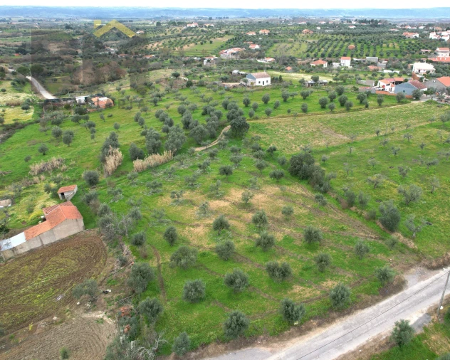 Terreno Agricola ou Rústico para Venda em Ladoeiro Foto 2