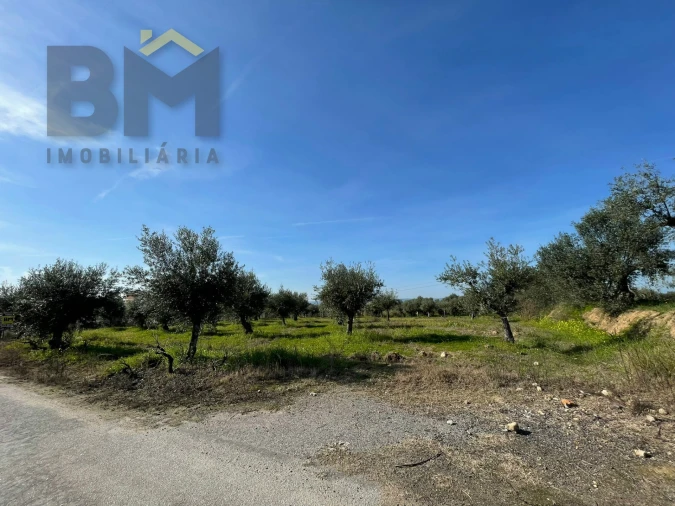 Terreno Agricola ou Rústico para Venda em Ladoeiro Foto 12
