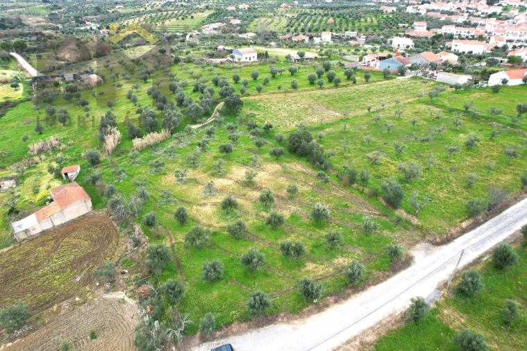 Terreno Agricola ou Rústico para Venda em Ladoeiro