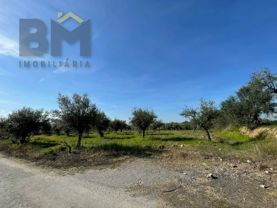 Terreno Agricola ou Rústico para Venda em Ladoeiro Foto 12