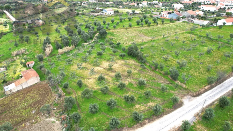Terreno Agricola ou Rústico para Venda em Ladoeiro