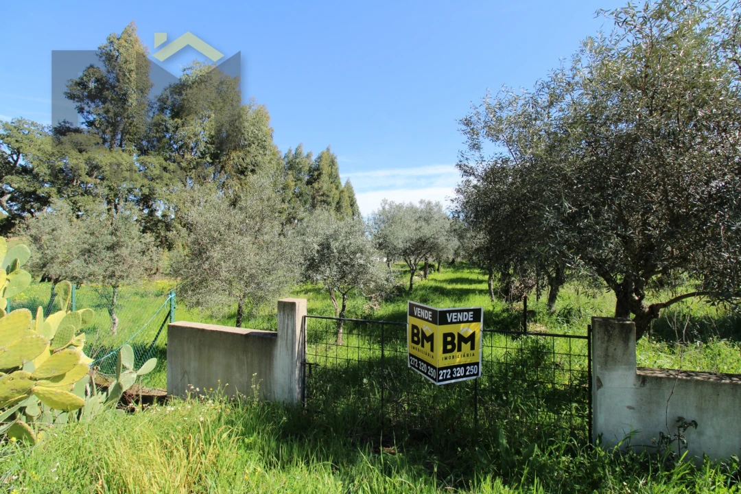 Quinta T0 para Venda em Proença-A-Velha Foto 20
