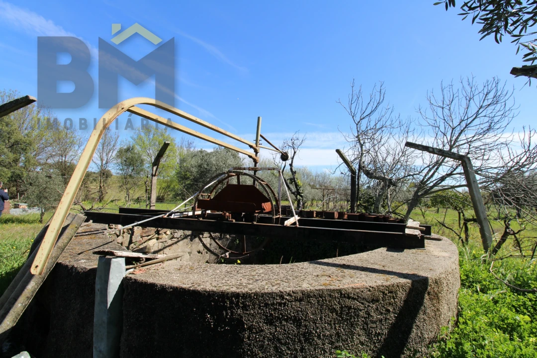 Quinta T0 para Venda em Proença-A-Velha Foto 15