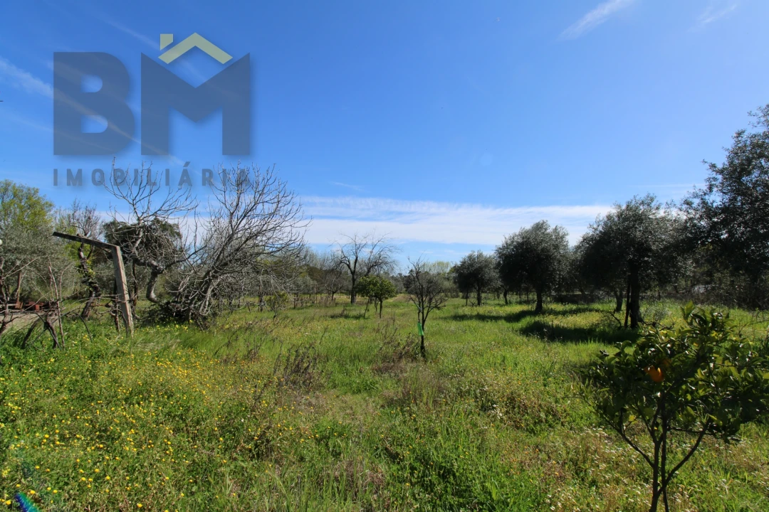 Quinta T0 para Venda em Proença-A-Velha Foto 31