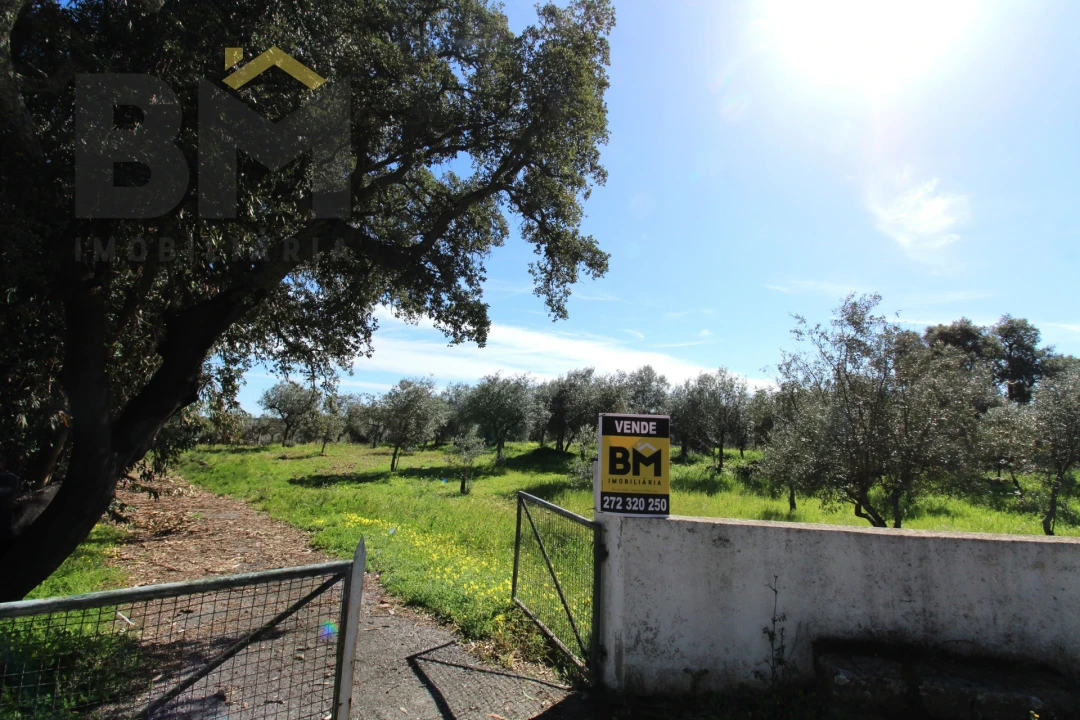 Quinta T0 para Venda em Proença-A-Velha Foto 22