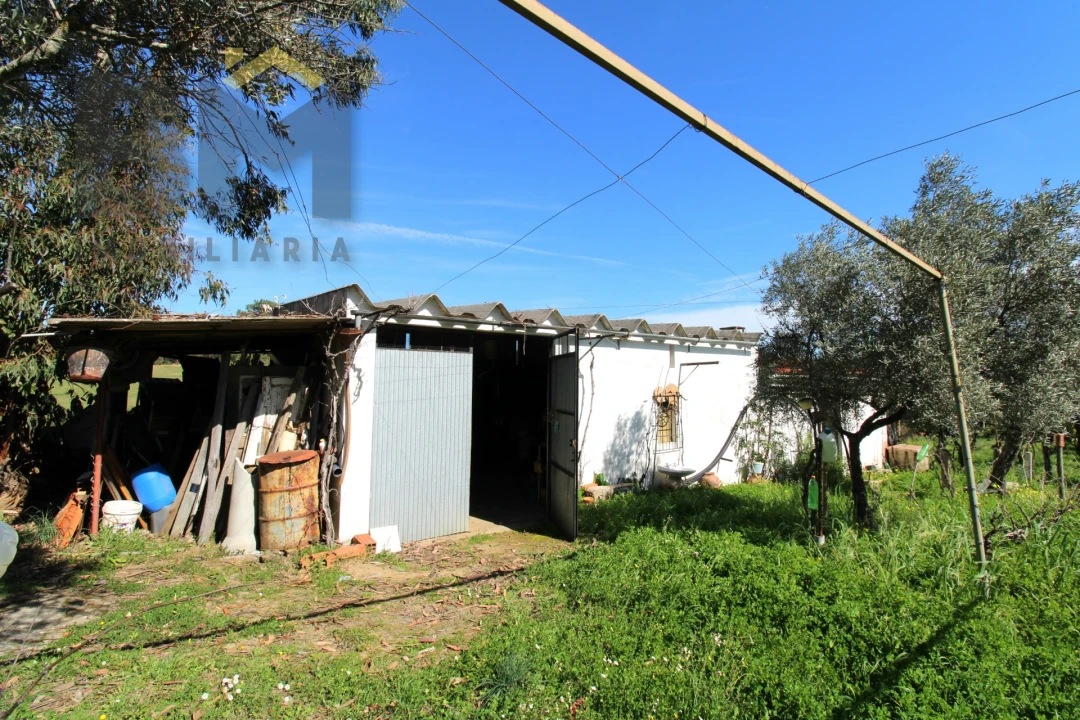 Quinta T0 para Venda em Proença-A-Velha Foto 5