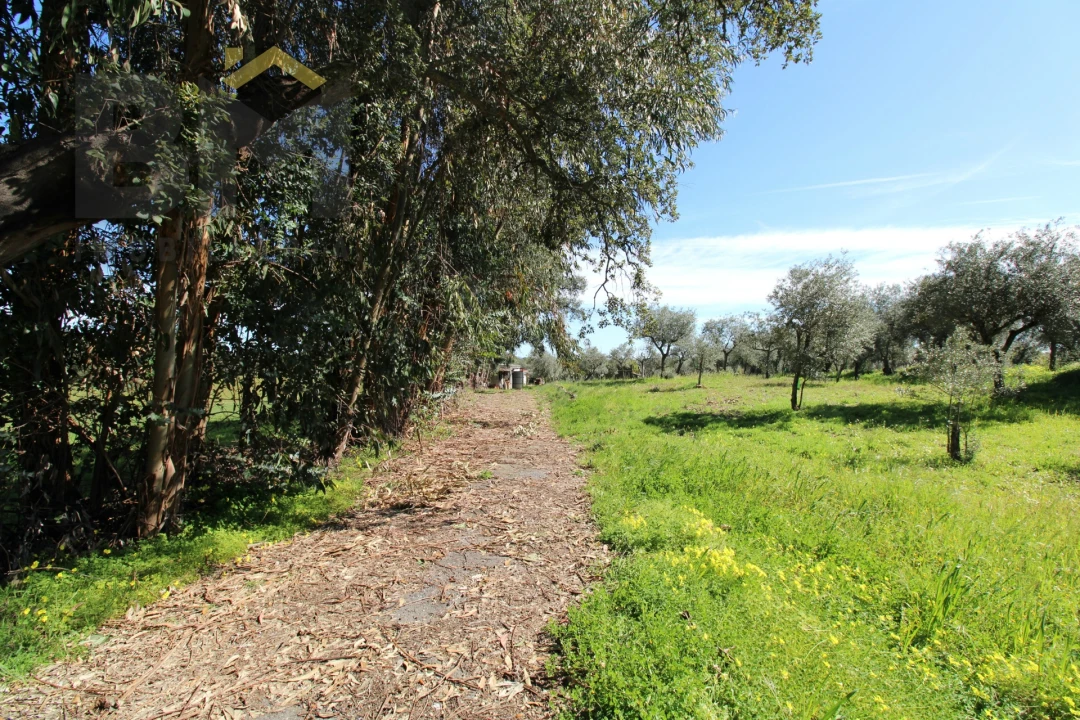 Quinta T0 para Venda em Proença-A-Velha Foto 23