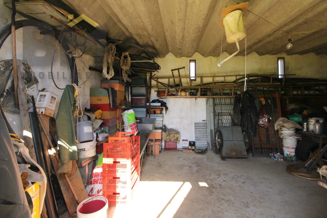 Quinta T0 para Venda em Proença-A-Velha Foto 6