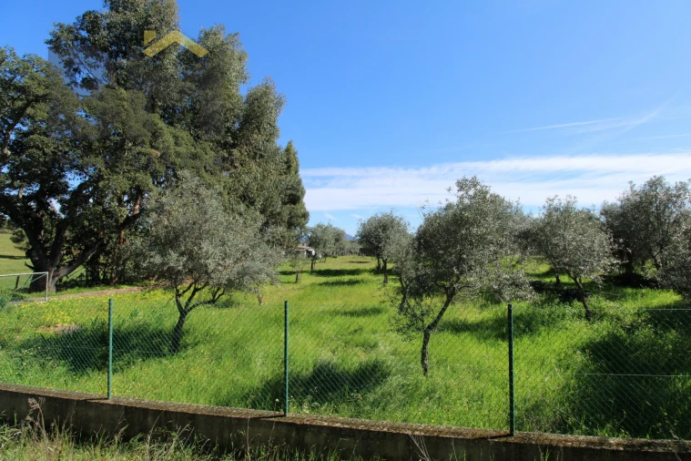 Quinta T0 para Venda em Proença-A-Velha Foto 21