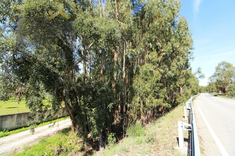 Quinta T0 para Venda em Proença-A-Velha Foto 19