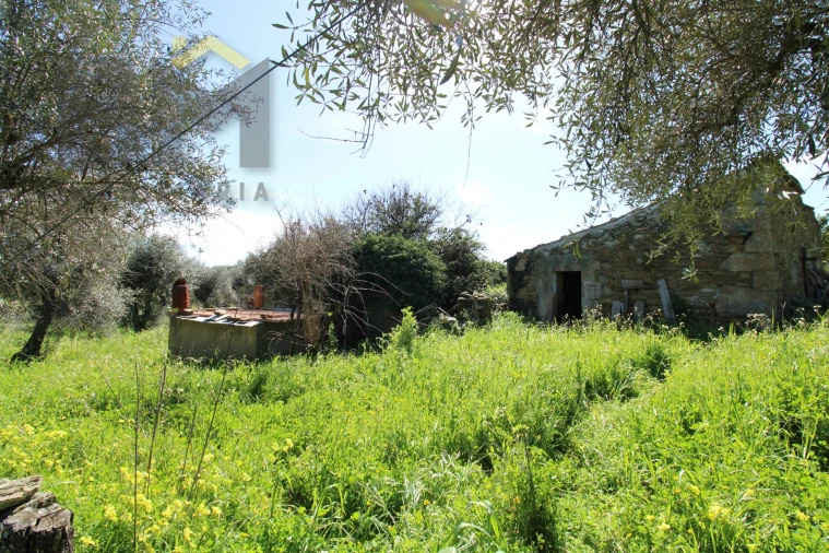 Quinta T0 para Venda em Proença-A-Velha Foto 12