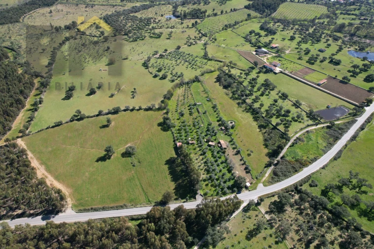 Quinta T0 para Venda em Proença-A-Velha Foto 2