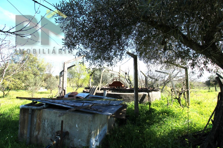 Quinta T0 para Venda em Proença-A-Velha Foto 14