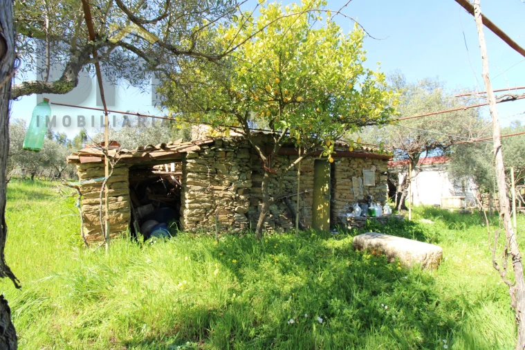 Quinta T0 para Venda em Proença-A-Velha Foto 13