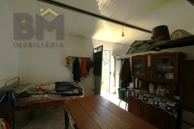 Quinta T0 para Venda em Proença-A-Velha Foto 10