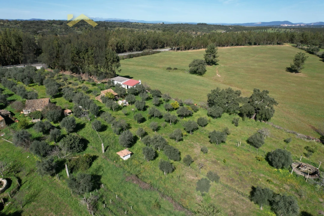 Quinta T0 para Venda em Proença-A-Velha Foto 3