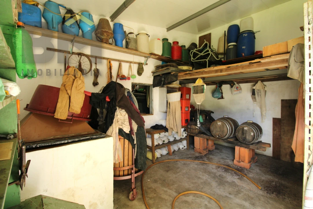 Quinta T0 para Venda em Proença-A-Velha Foto 8