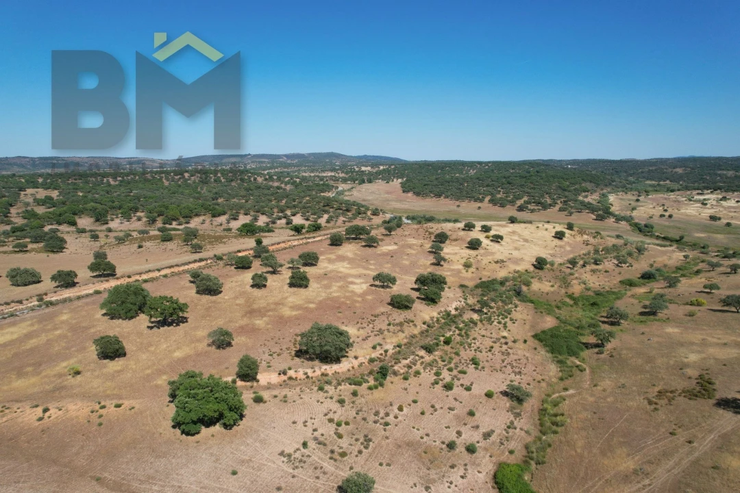 Quinta T0 para Venda em Malpica do Tejo Foto 19