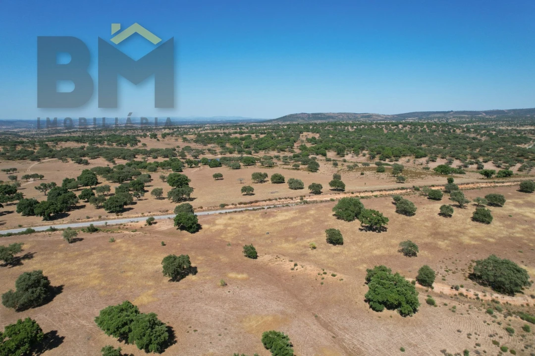 Quinta T0 para Venda em Malpica do Tejo Foto 18