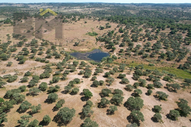 Quinta T0 para Venda em Malpica do Tejo Foto 22