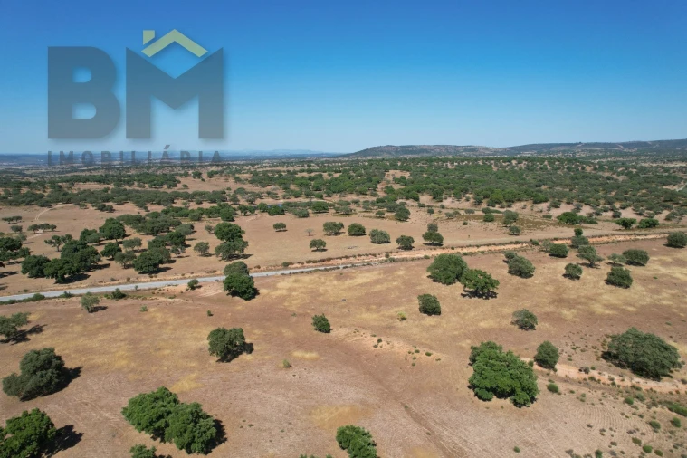 Quinta T0 para Venda em Malpica do Tejo Foto 18