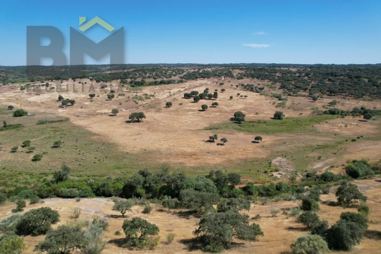 Quinta T0 para Venda em Malpica do Tejo Foto 16