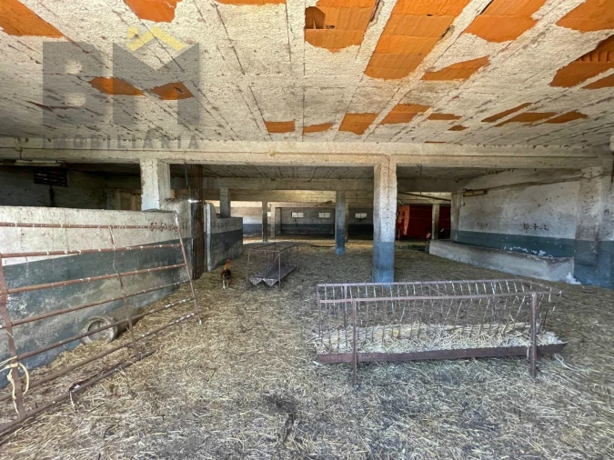 Quinta T0 para Venda em Malpica do Tejo Foto 49