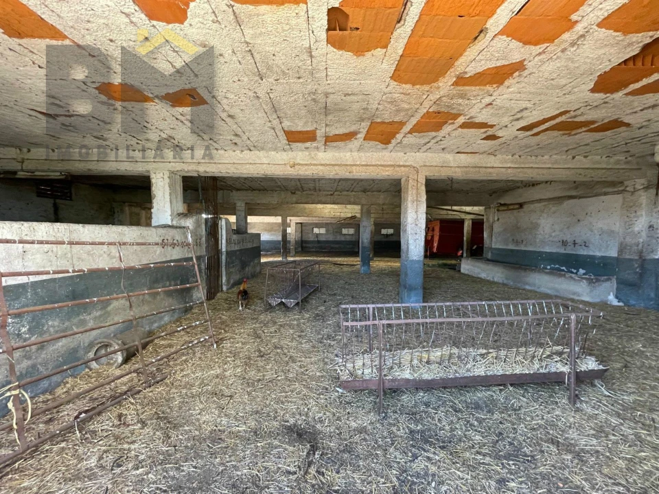 Quinta T0 para Venda em Malpica do Tejo Foto 49