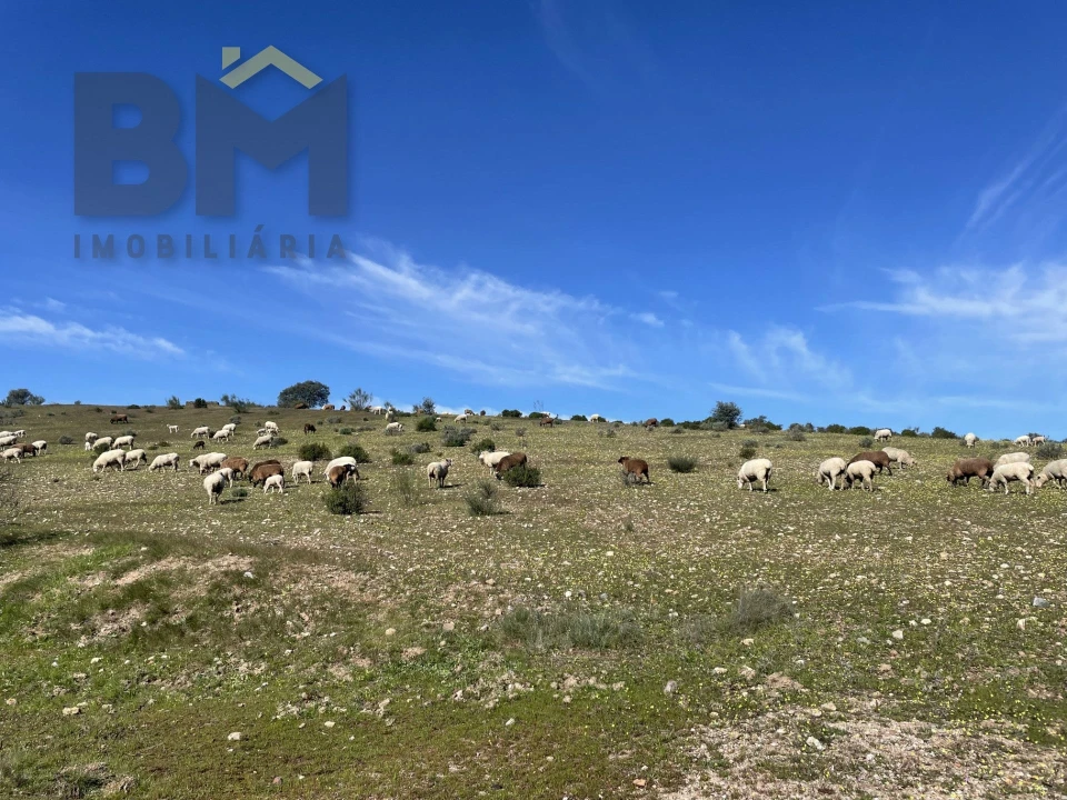 Quinta T0 para Venda em Malpica do Tejo Foto 23