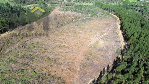 Terreno Agricola ou Rústico para Venda em São Vicente da Beira