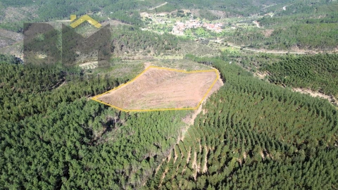 Terreno Agricola ou Rústico para Venda em São Vicente da Beira