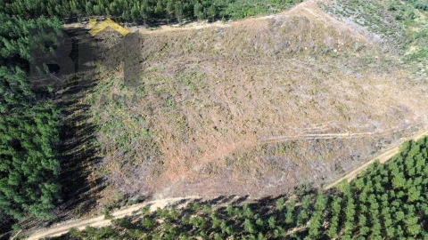 Terreno Agricola ou Rústico para Venda em São Vicente da Beira