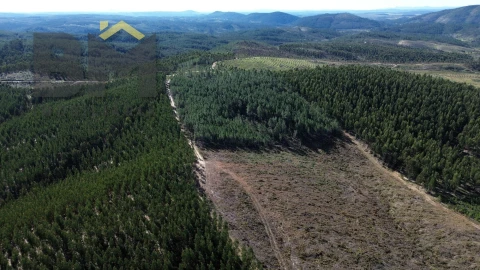 Terreno Agricola ou Rústico para Venda em São Vicente da Beira