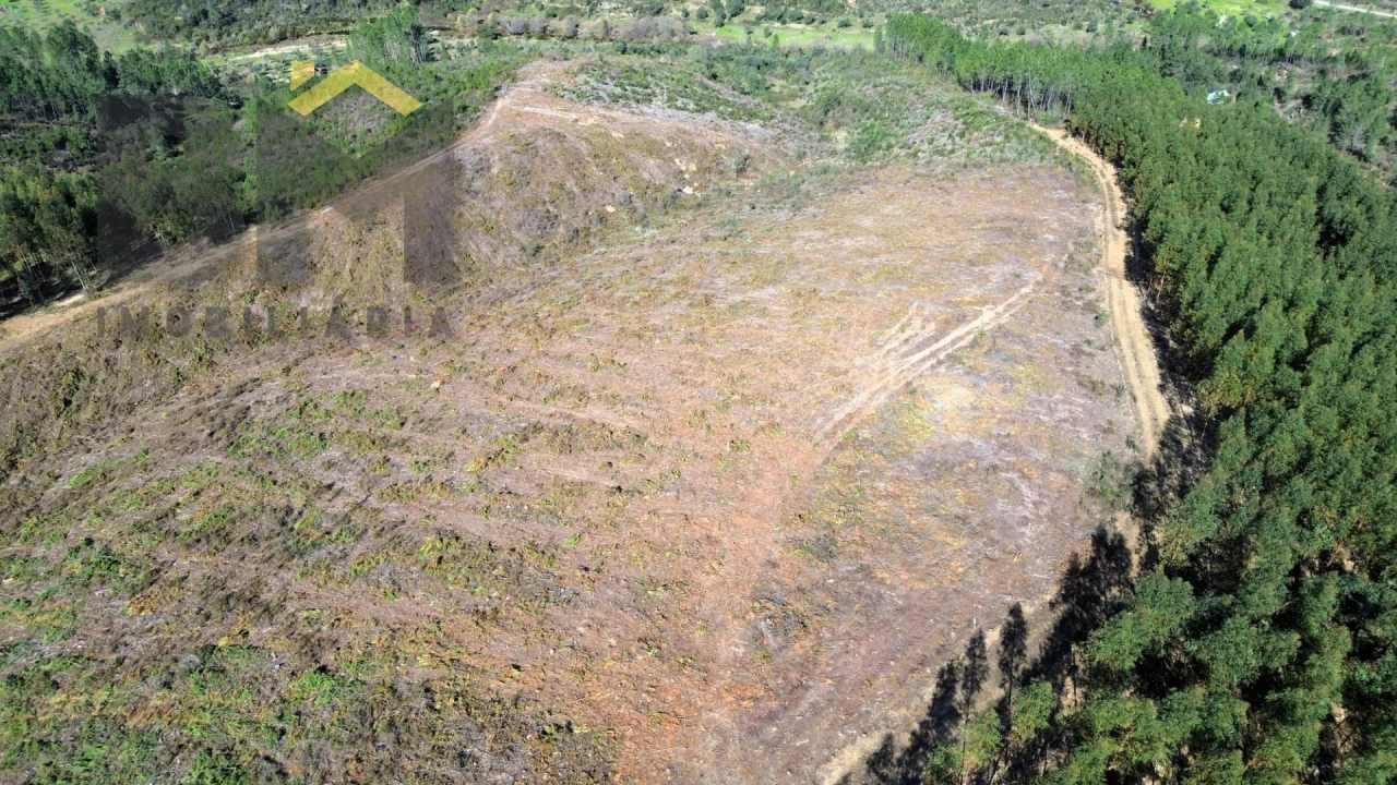 Terreno Agricola ou Rústico para Venda em São Vicente da Beira Foto 3