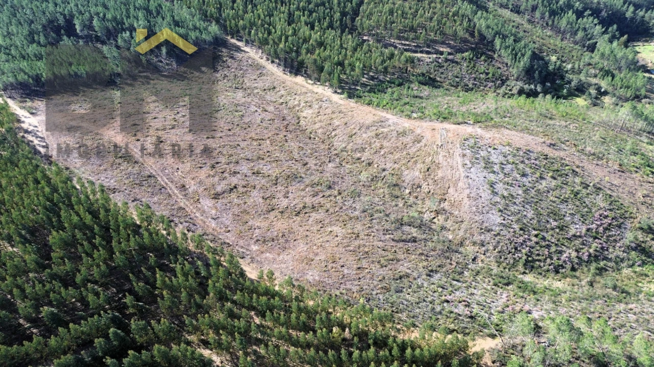 Terreno Agricola ou Rústico para Venda em São Vicente da Beira Foto 4