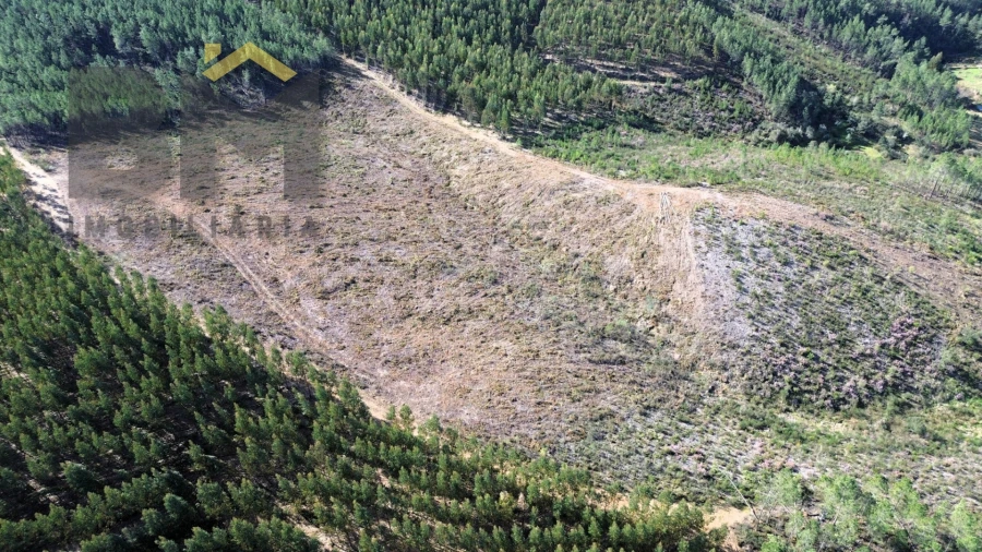 Terreno Agricola ou Rústico para Venda em São Vicente da Beira Foto 4