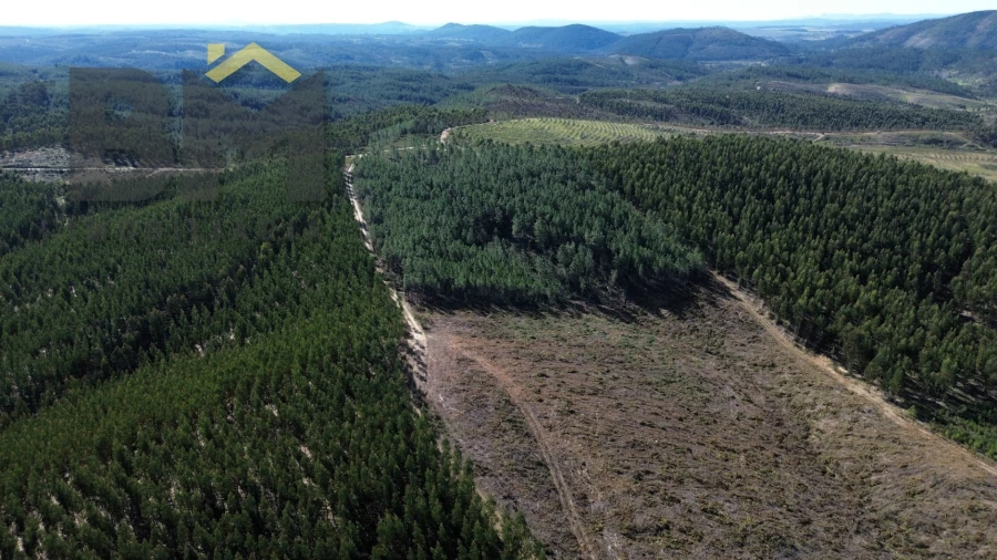 Terreno Agricola ou Rústico para Venda em São Vicente da Beira Foto 5