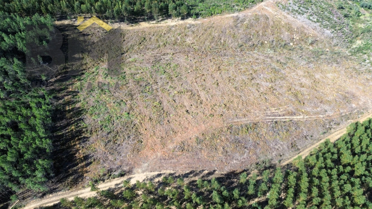 Terreno Agricola ou Rústico para Venda em São Vicente da Beira Foto 2