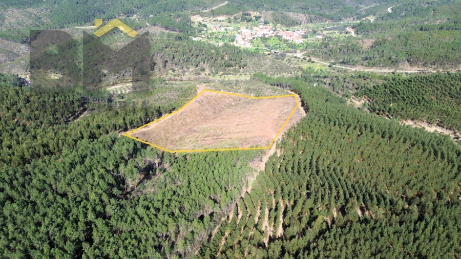 Terreno Agricola ou Rústico para Venda em São Vicente da Beira
