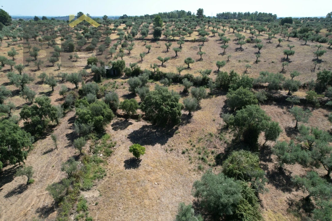 Quinta T0 para Venda em Freixial e Juncal do Campo Foto 9