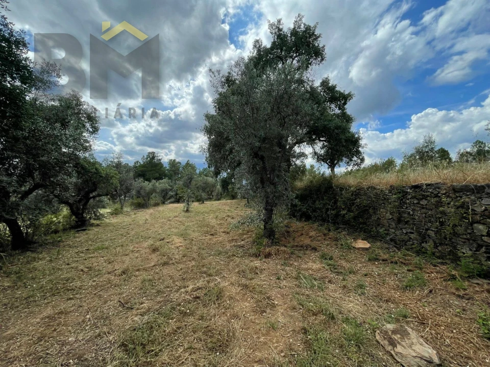 Quinta T0 para Venda em Freixial e Juncal do Campo Foto 24