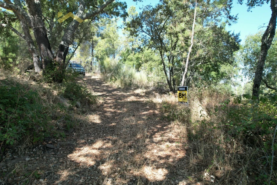 Quinta T0 para Venda em Freixial e Juncal do Campo Foto 13