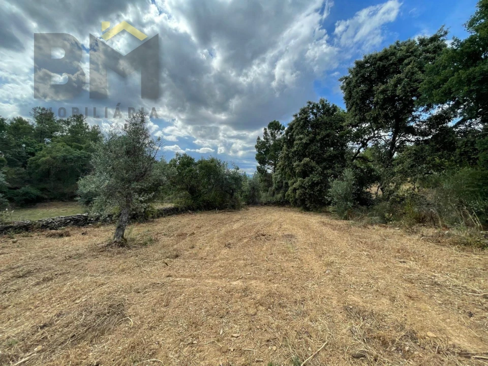 Quinta T0 para Venda em Freixial e Juncal do Campo Foto 26