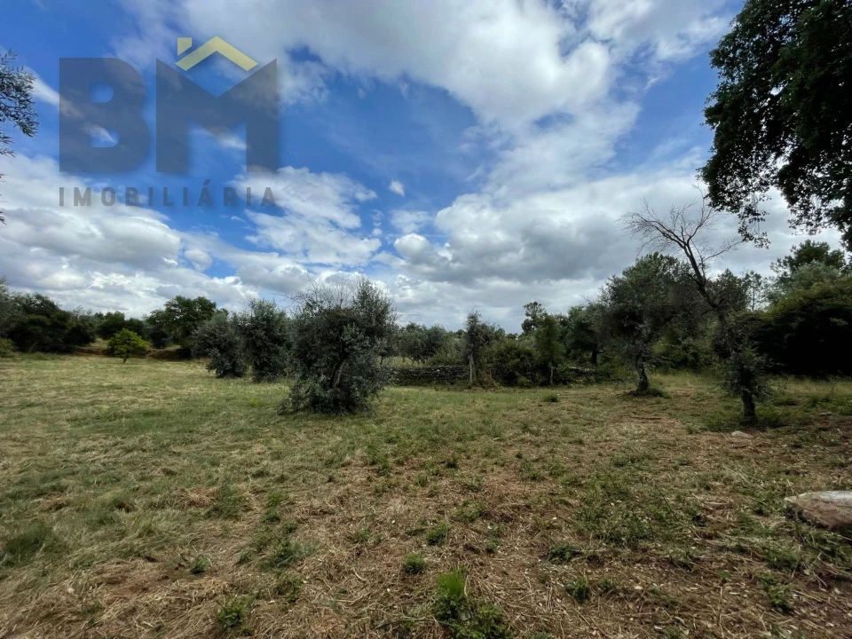 Quinta T0 para Venda em Freixial e Juncal do Campo Foto 34