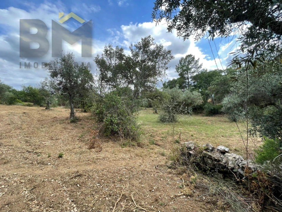 Quinta T0 para Venda em Freixial e Juncal do Campo Foto 28