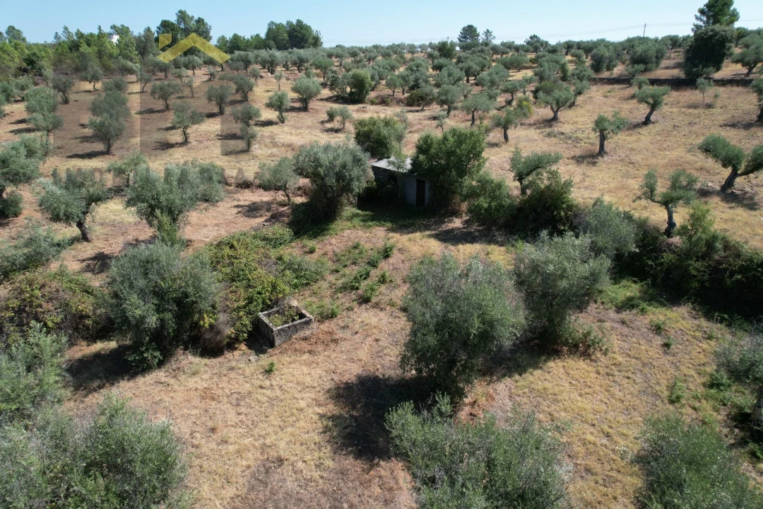 Quinta T0 para Venda em Freixial e Juncal do Campo Foto 10