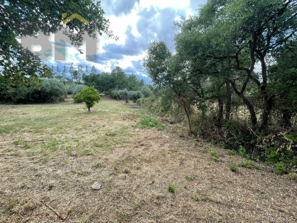 Quinta T0 para Venda em Freixial e Juncal do Campo Foto 22